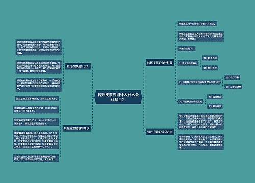 转账支票应当计入什么会计科目？