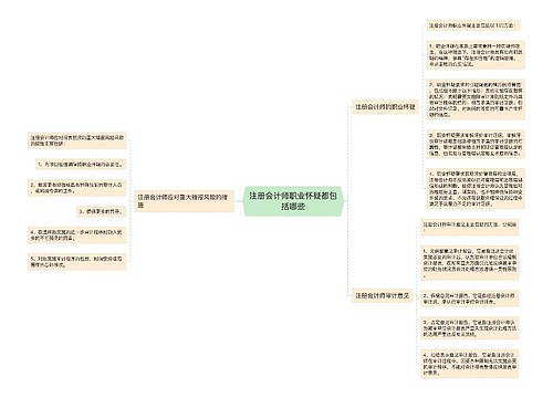 注册会计师职业怀疑都包括哪些