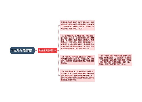 什么是财务报表？