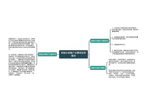 明细分类账户主要特征有哪些