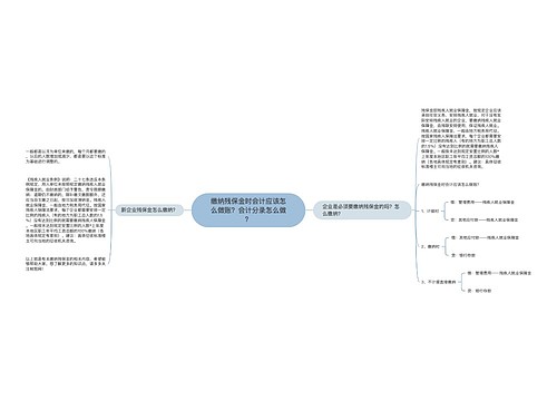 缴纳残保金时会计应该怎么做账？会计分录怎么做？思维导图