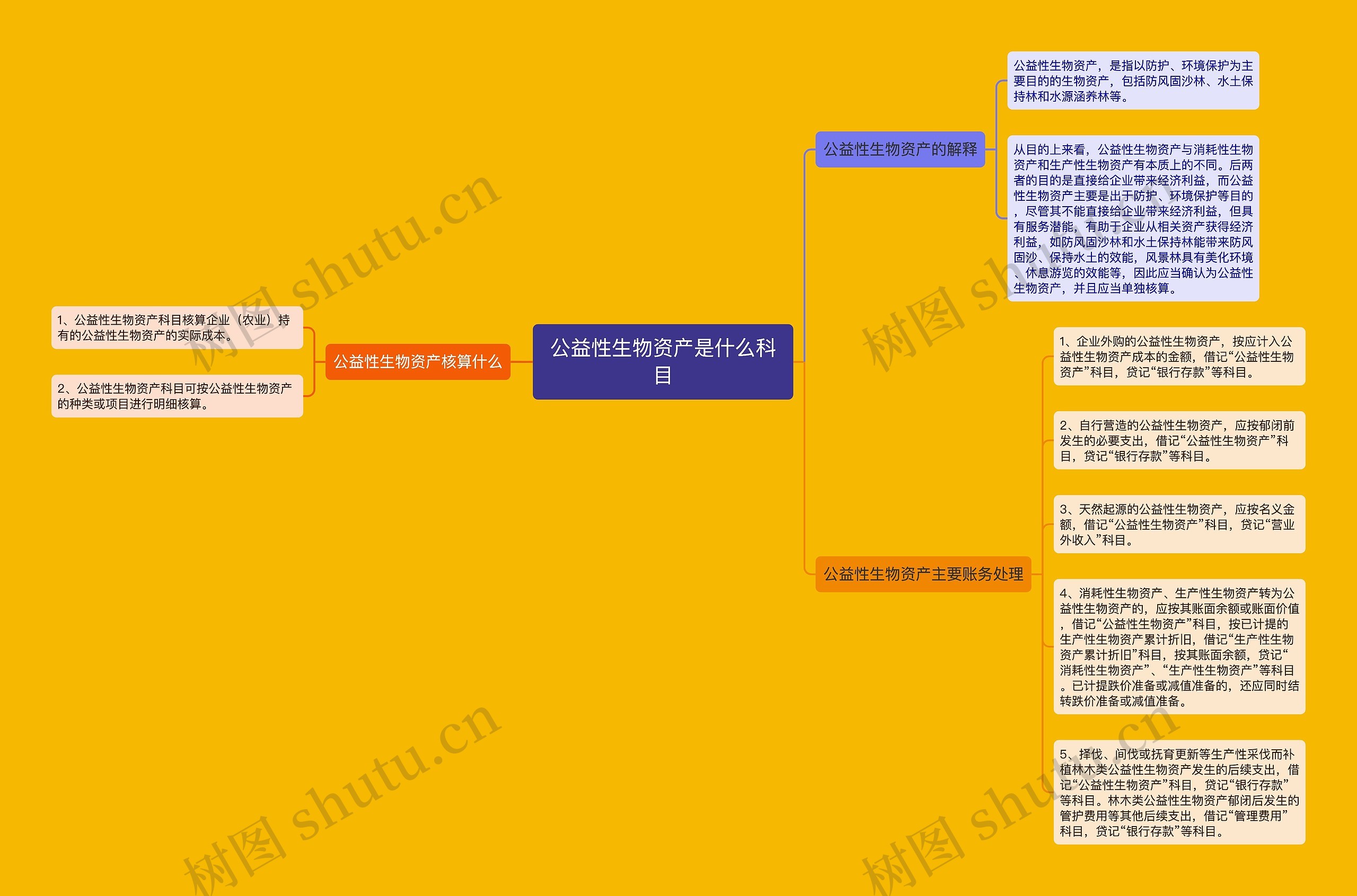 公益性生物资产是什么科目思维导图