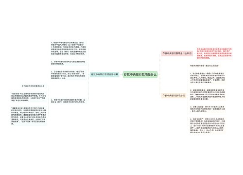 存放中央银行款项是什么