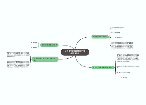 公司支付的投资款如何做会计分录？