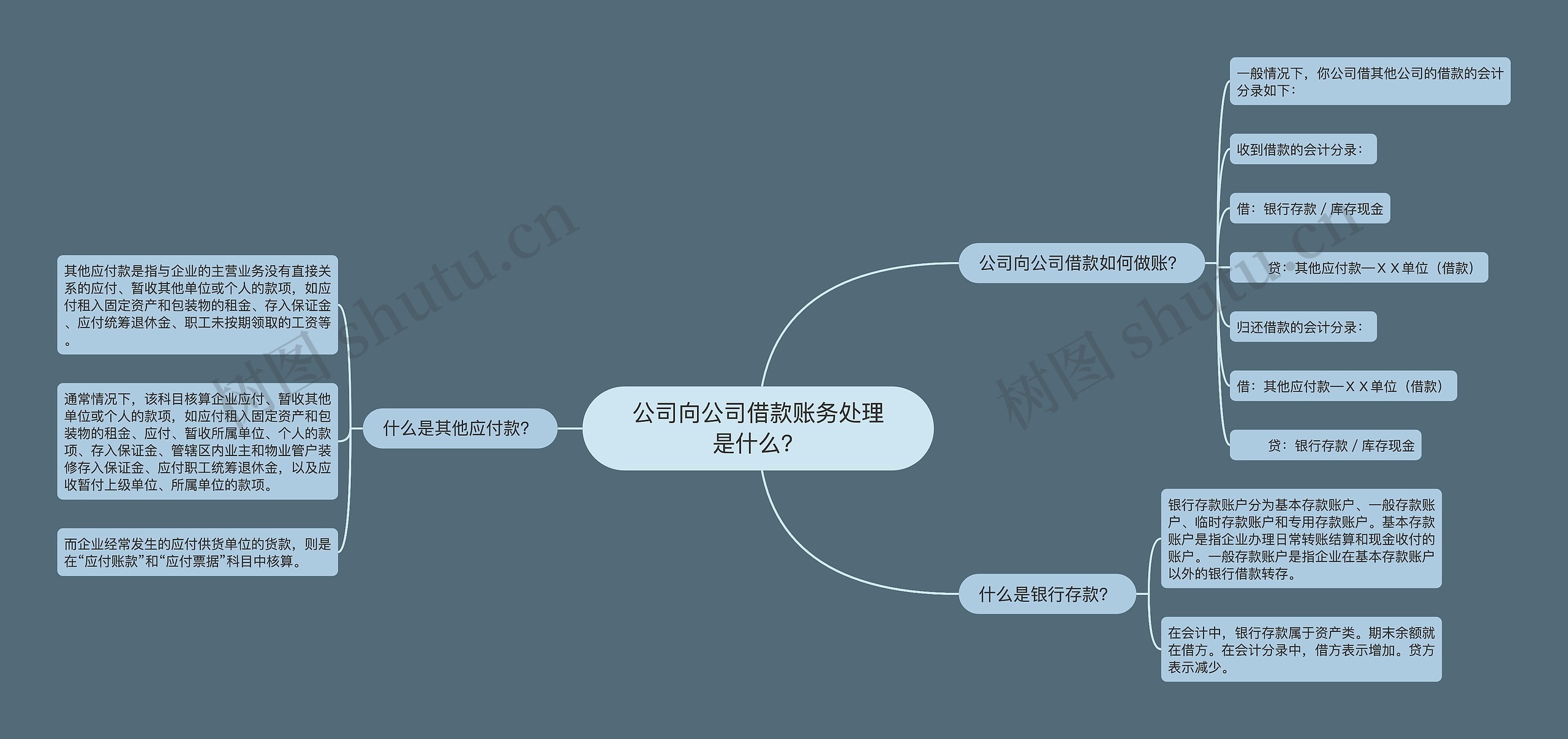 公司向公司借款账务处理是什么？思维导图