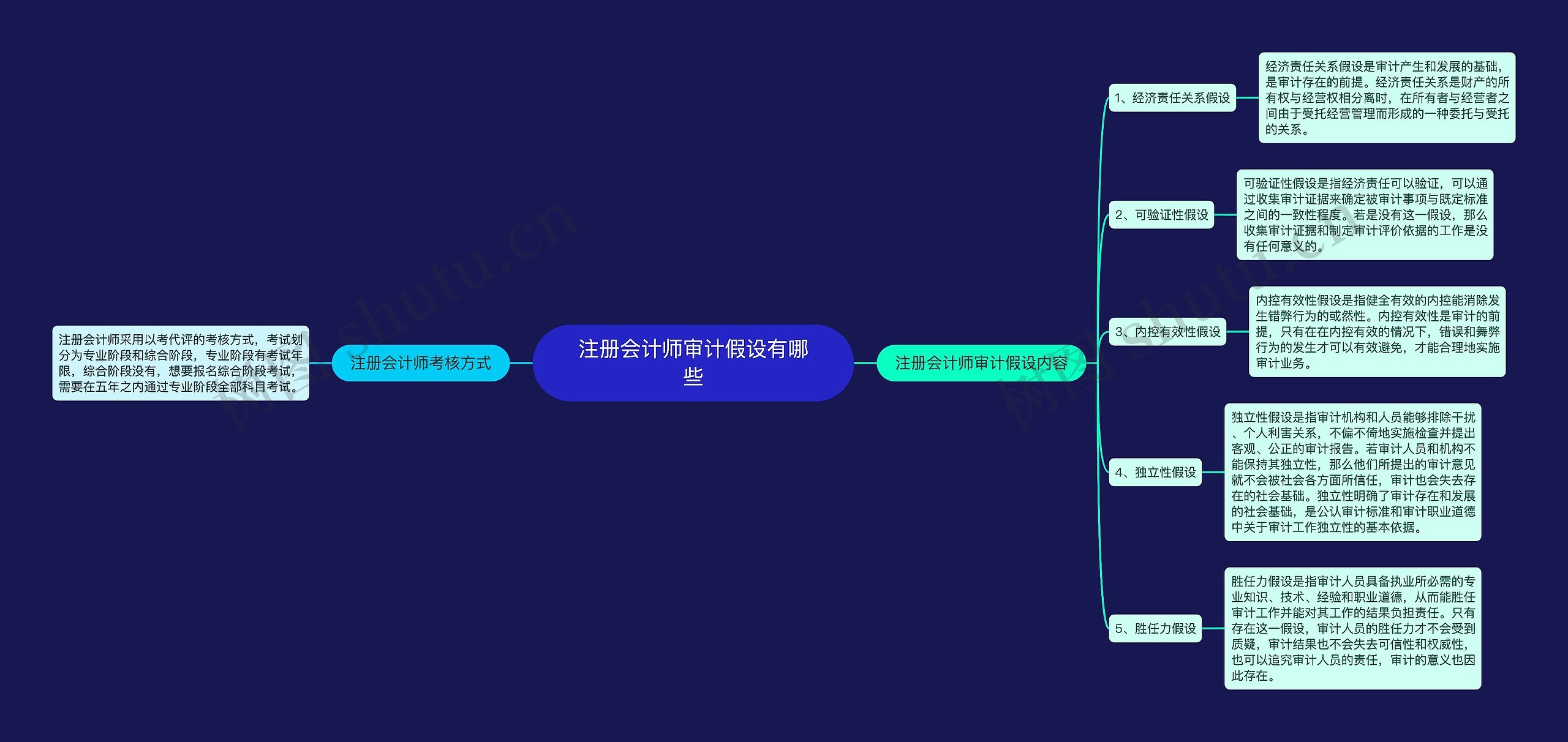 注册会计师审计假设有哪些