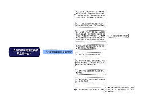 一人有限公司的注册要求规定是什么？