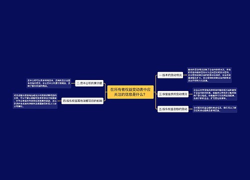 在所有者权益变动表中应关注的信息是什么？