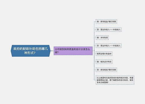 政府的财政补助包括哪几种形式？