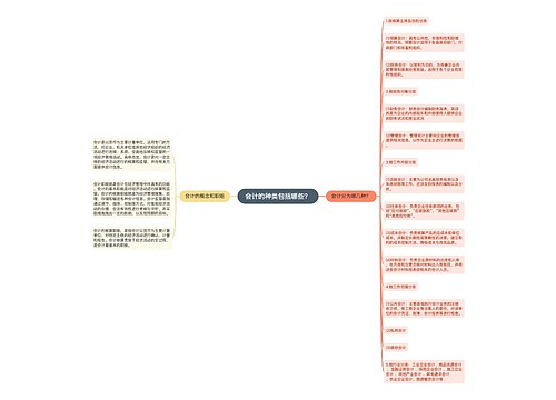 会计的种类包括哪些？