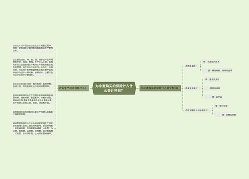 为小麦购买的保险计入什么会计科目？