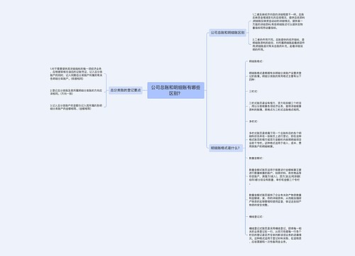 公司总账和明细账有哪些区别？