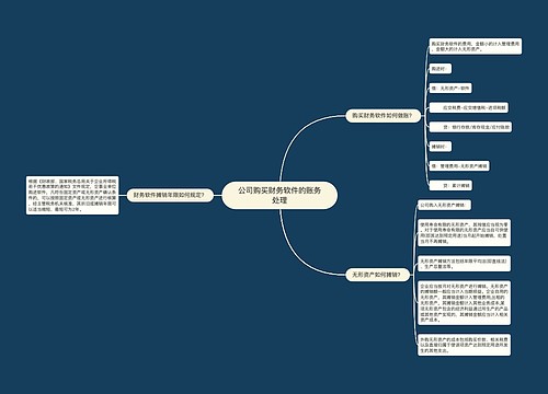 公司购买财务软件的账务处理