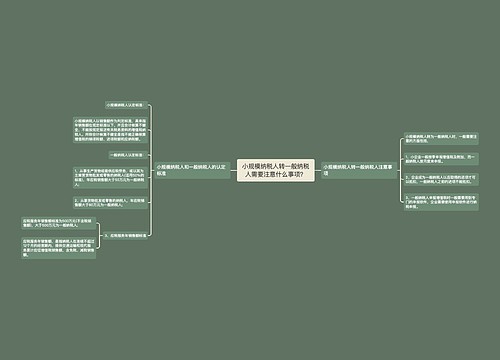 小规模纳税人转一般纳税人需要注意什么事项？