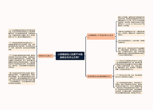 小规模纳税人如果不申报纳税会有什么后果？