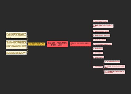 新企业第一次报税去税局需要带什么资料？