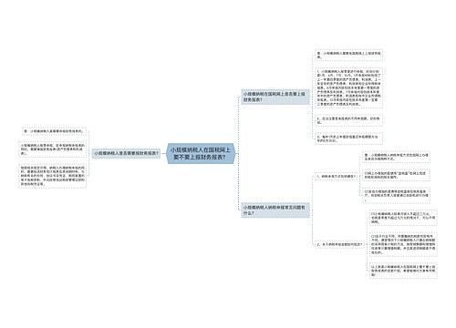 小规模纳税人在国税网上要不要上报财务报表？