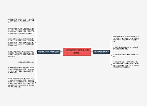 设立明细账的注意事项有哪些？