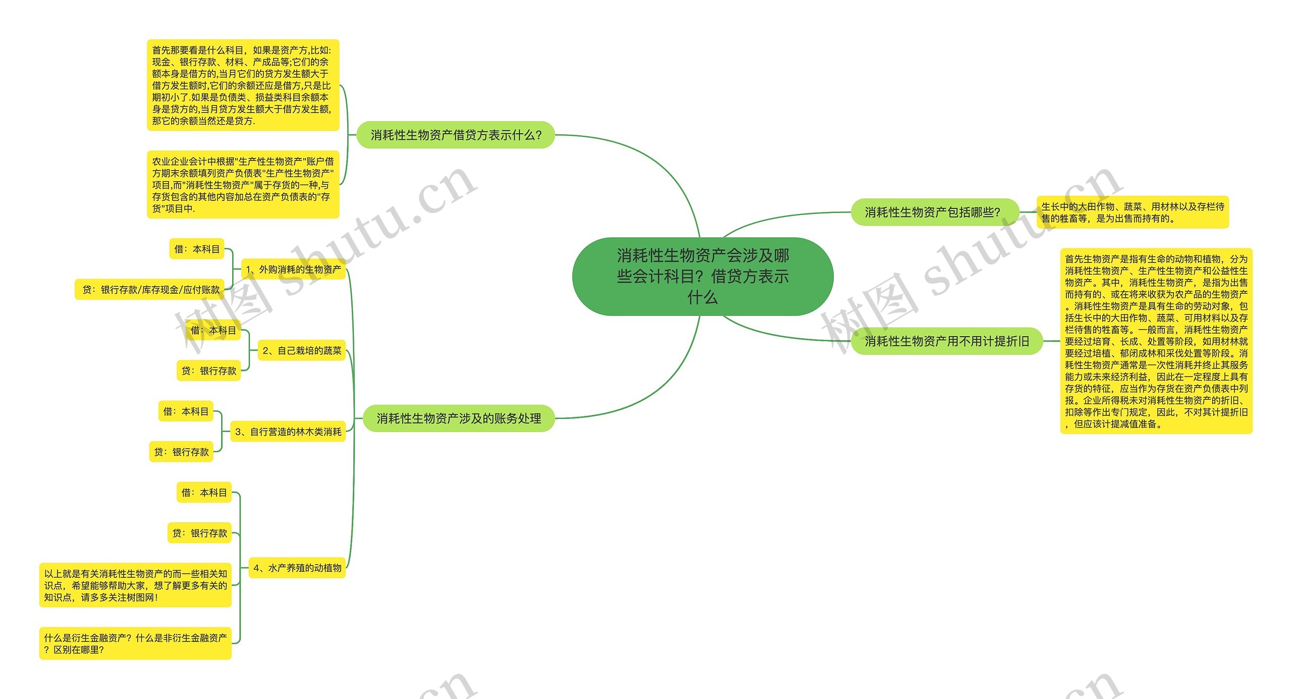 消耗性生物资产会涉及哪些会计科目？借贷方表示什么