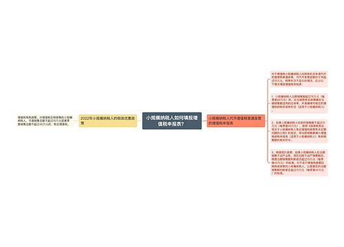 小规模纳税人如何填报增值税申报表？