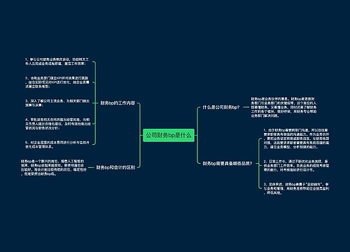 公司财务bp是什么