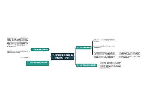 分公司如何申报纳税？必须在当地交税吗？