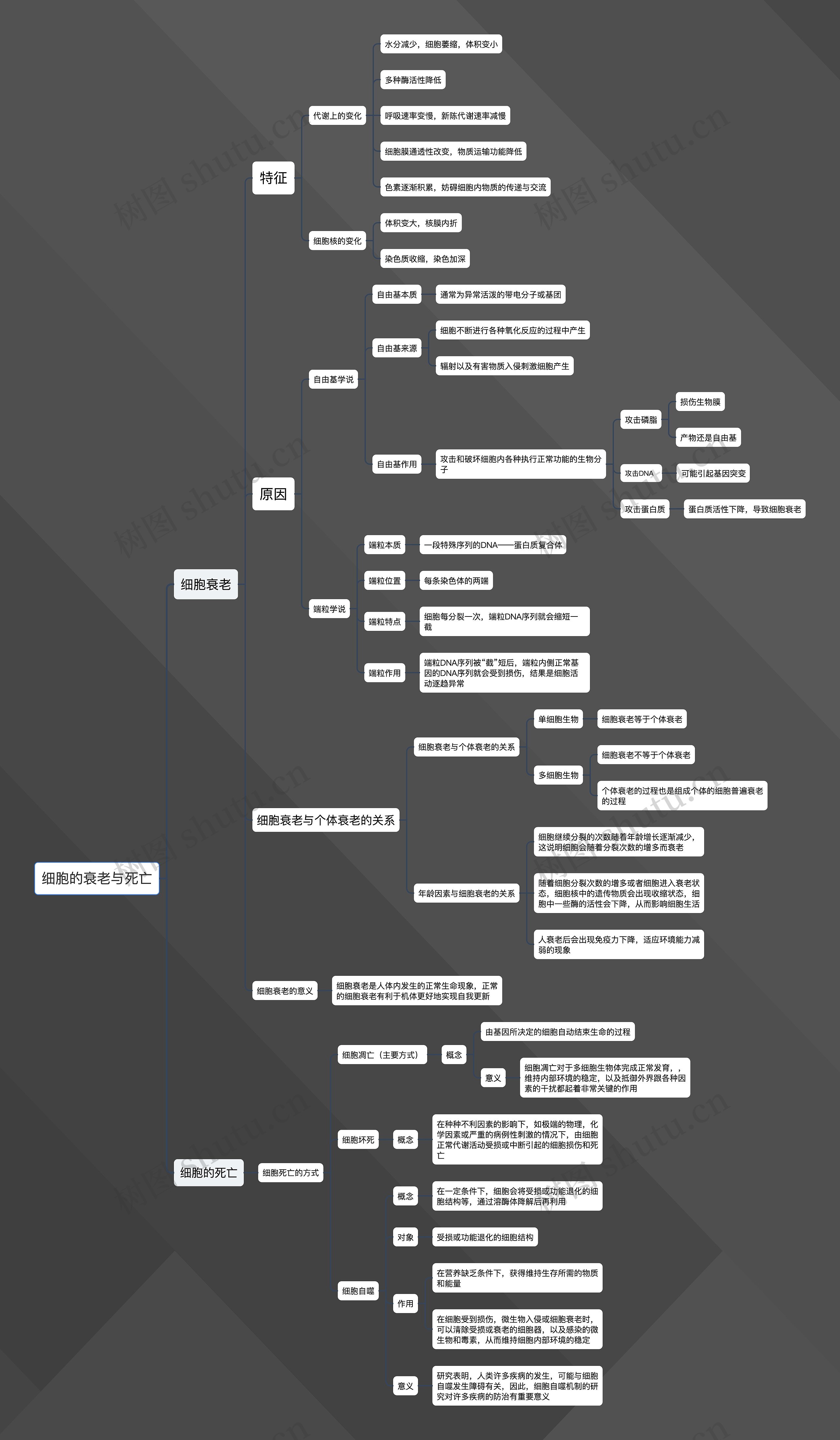 细胞的衰老与死亡思维导图高清图 细胞的衰老与死亡思维导图
