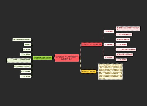 公司支付个人所得税会计分录是什么？