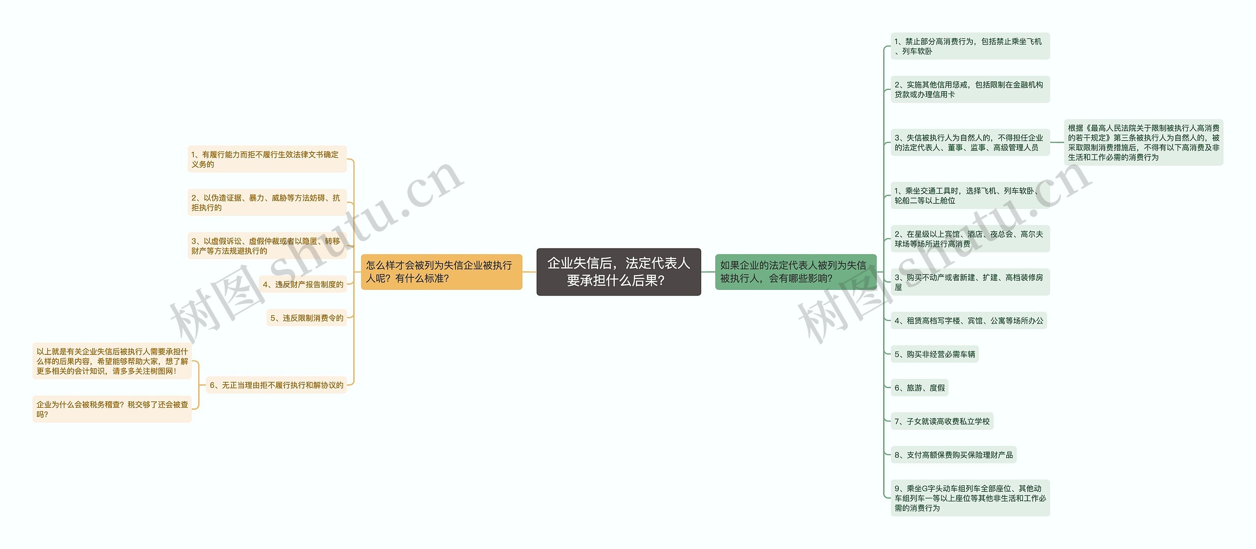 企业失信后，法定代表人要承担什么后果？思维导图