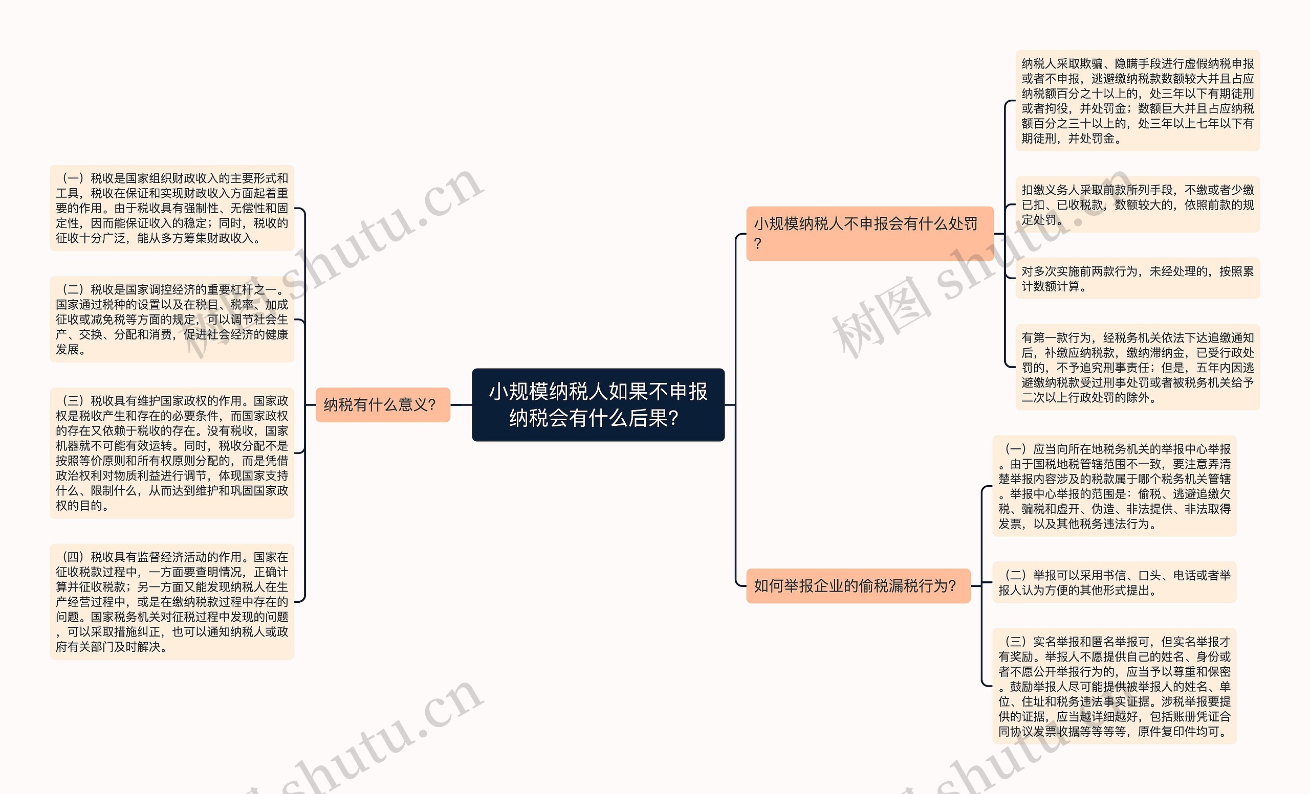 小规模纳税人如果不申报纳税会有什么后果？