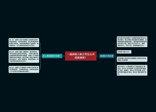 一般纳税人新公司怎么申报城建税？