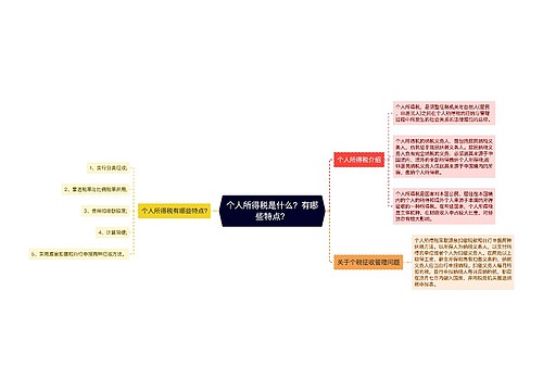 个人所得税是什么？有哪些特点？