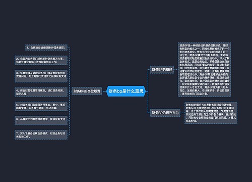 财务bp是什么意思