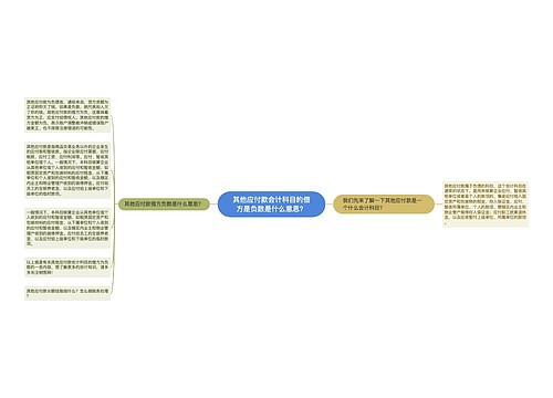 其他应付款会计科目的借方是负数是什么意思？