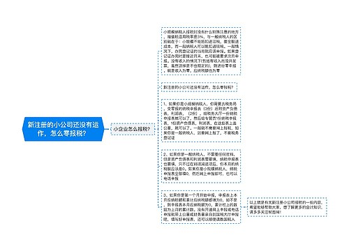 新注册的小公司还没有运作，怎么零报税？