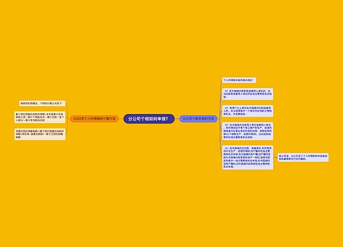 分公司个税如何申报？