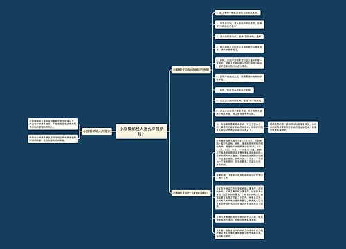 小规模纳税人怎么申报纳税？
