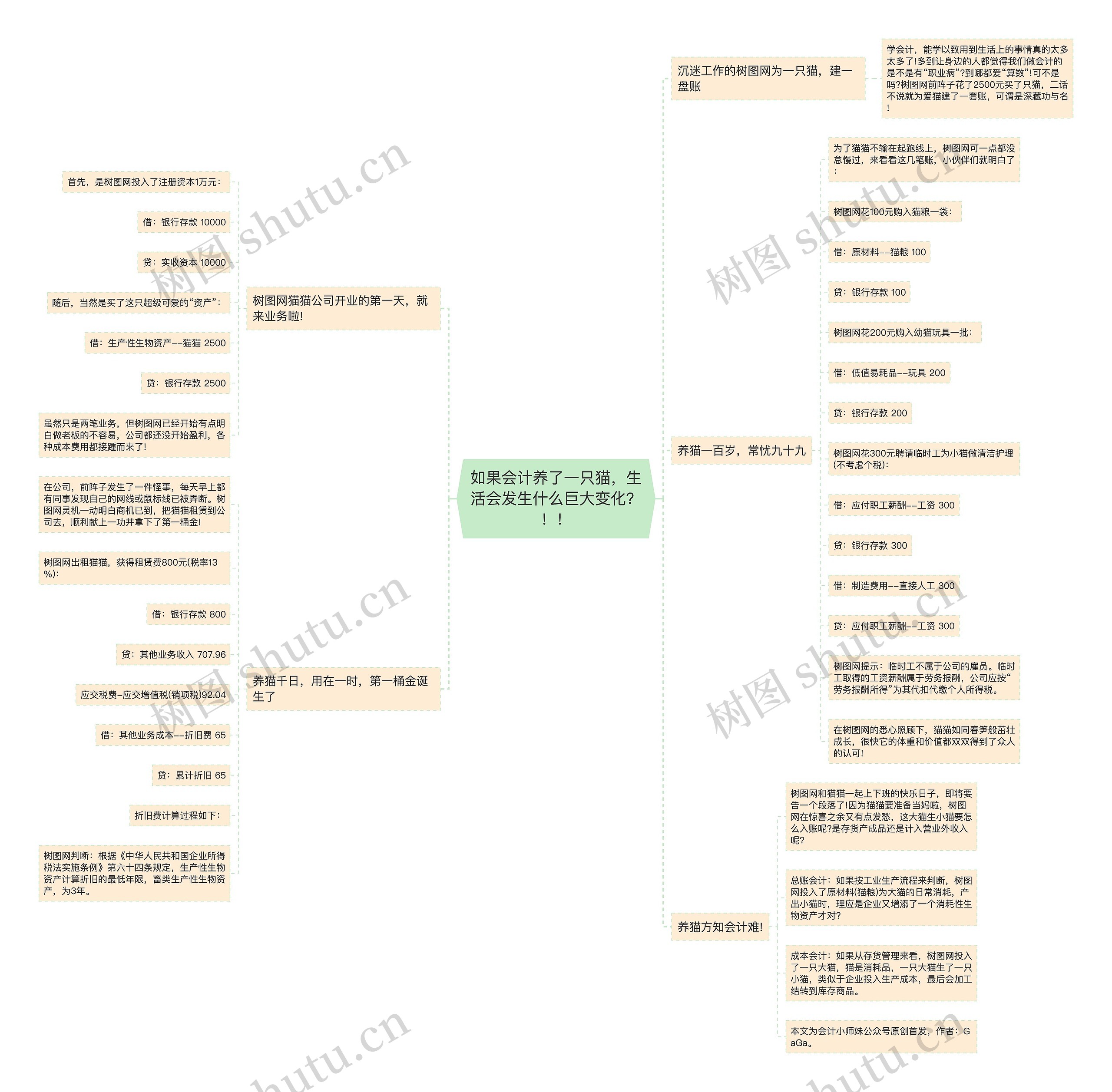 如果会计养了一只猫，生活会发生什么巨大变化？！！思维导图