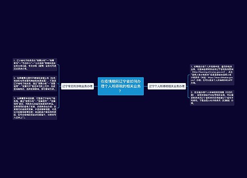 在疫情期间辽宁省如何办理个人所得税的相关业务？