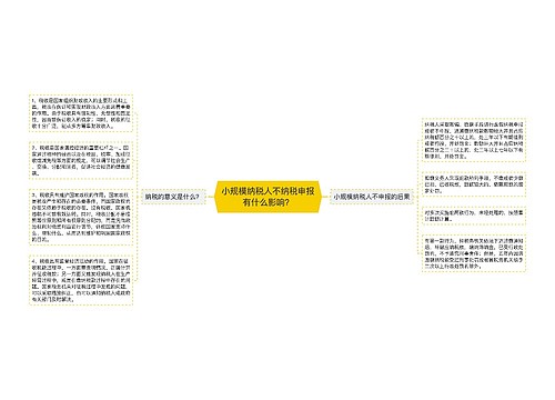 小规模纳税人不纳税申报有什么影响？