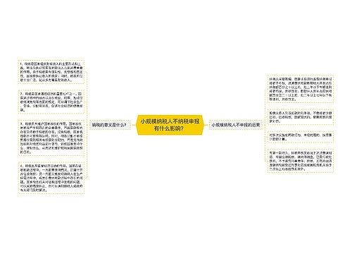 小规模纳税人不纳税申报有什么影响？