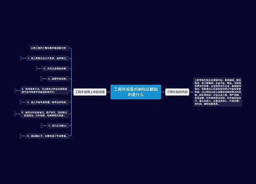 工商年报里的纳税总额指的是什么