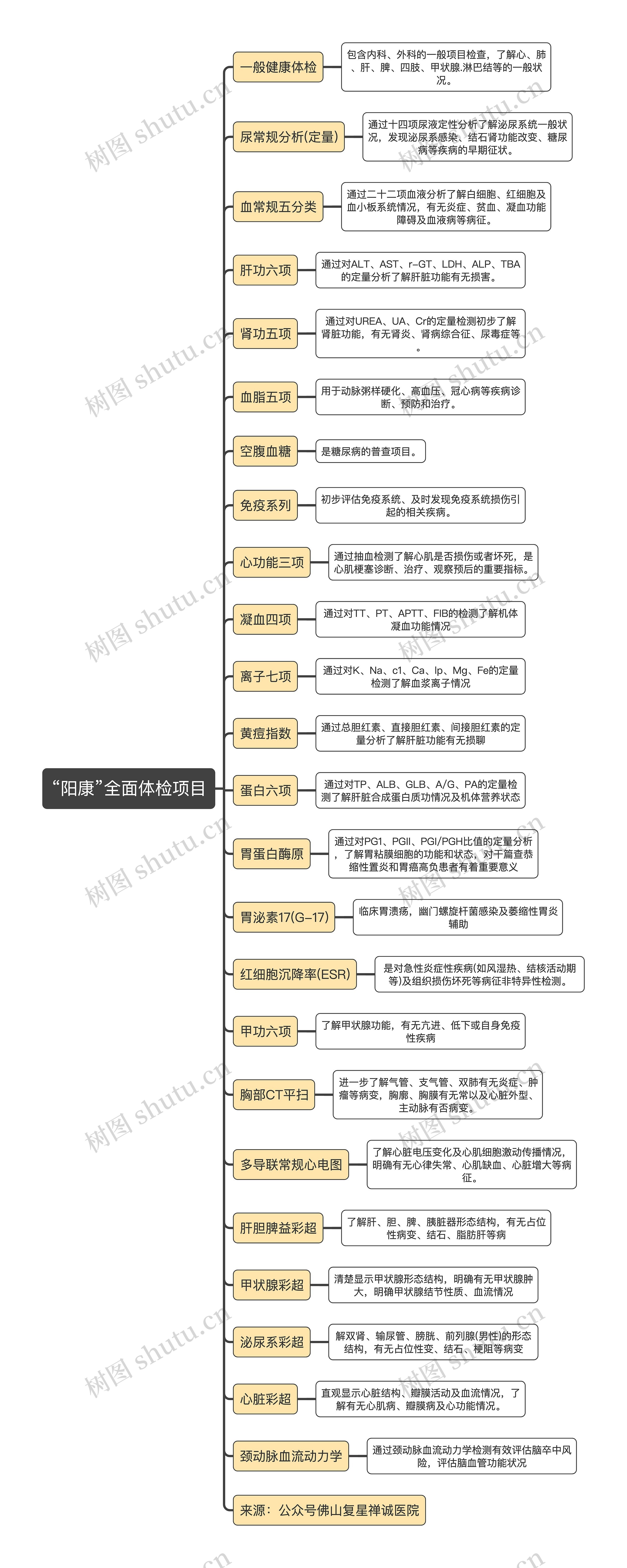 “阳康”全面体检项目逻辑图