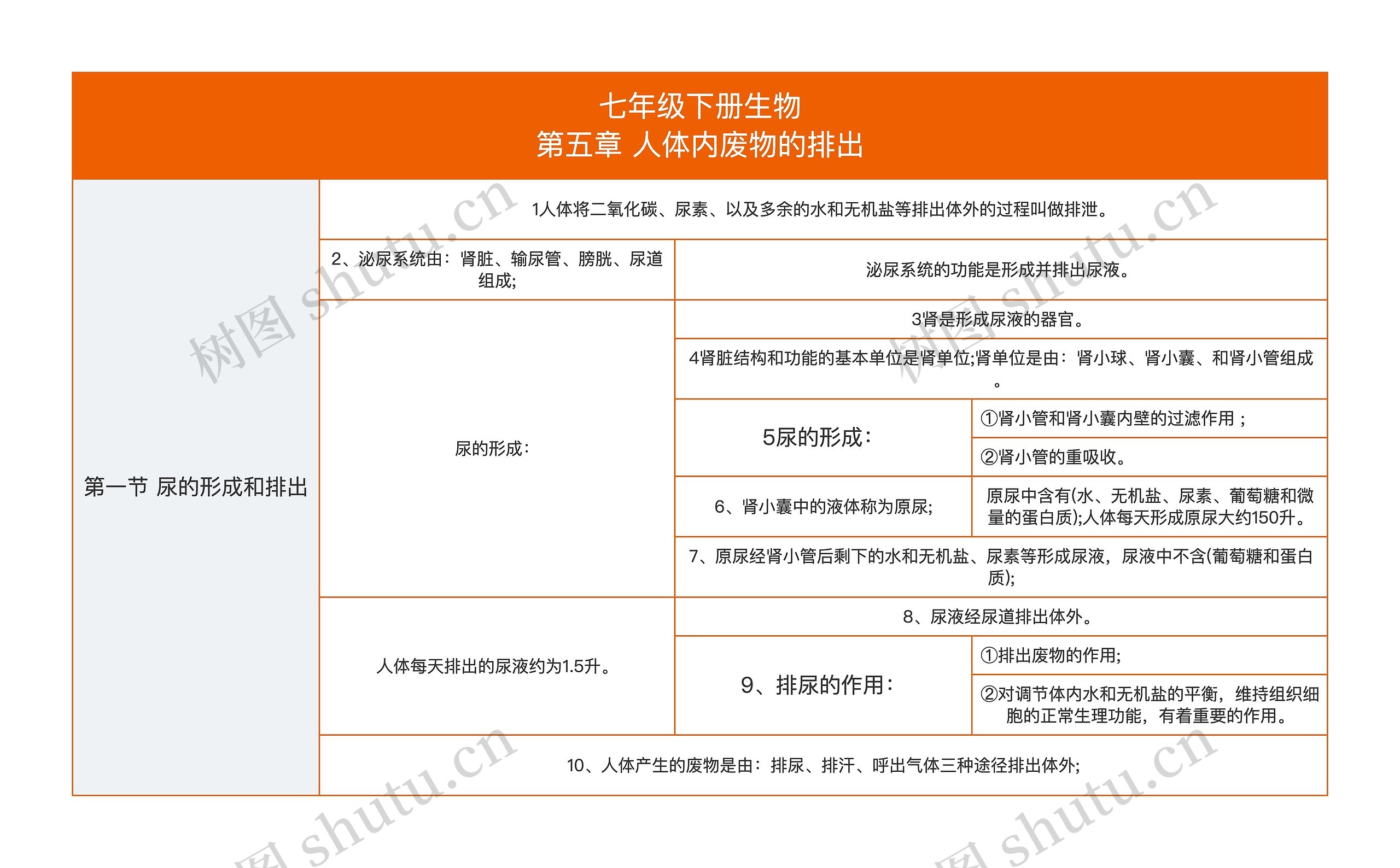 七年级下册生物
第五章 人体内废物的排出思维导图