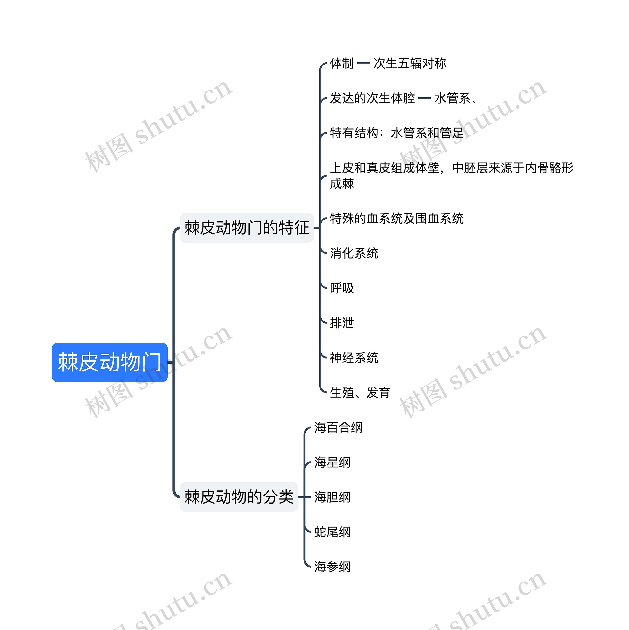 棘皮动物门