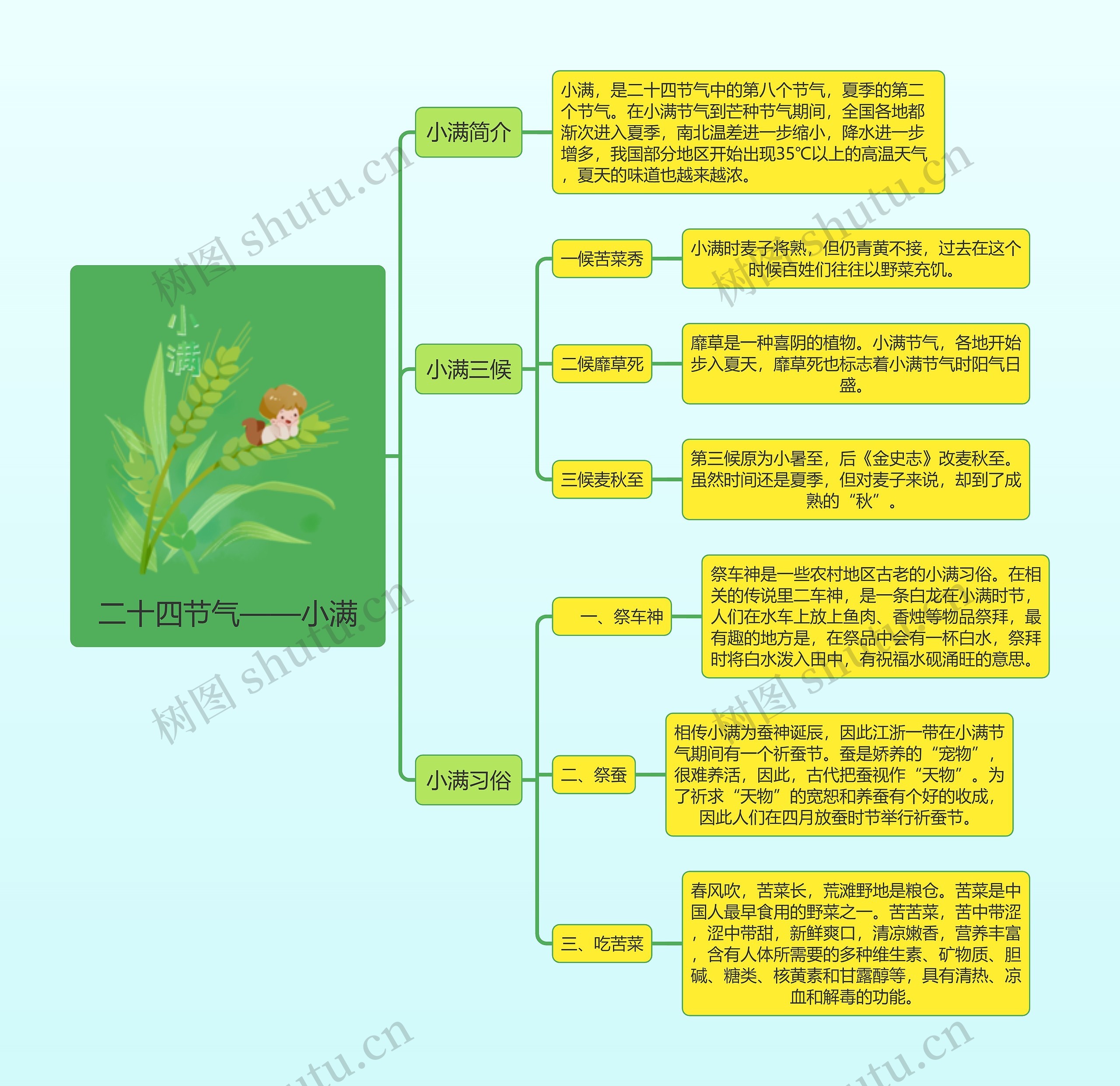 二十四节气——小满简图