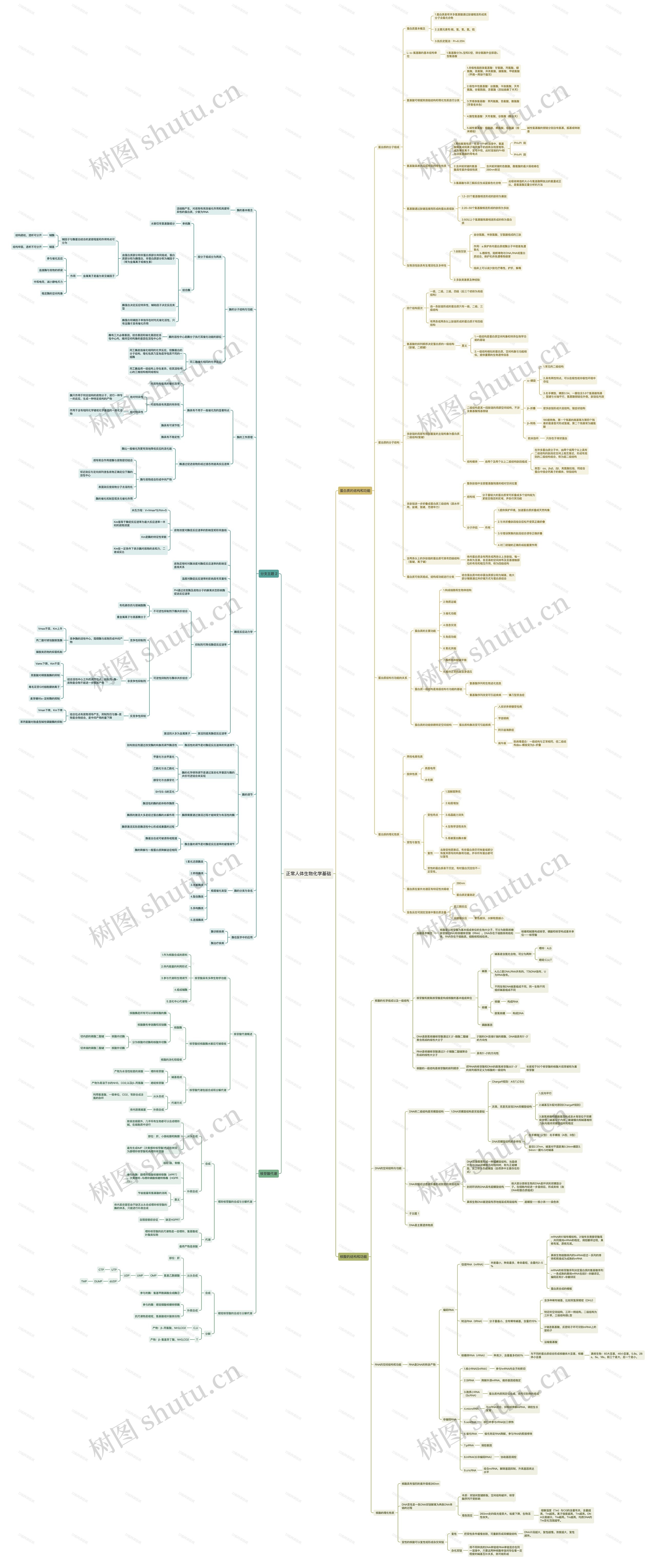 正常人体生物化学基础思维导图