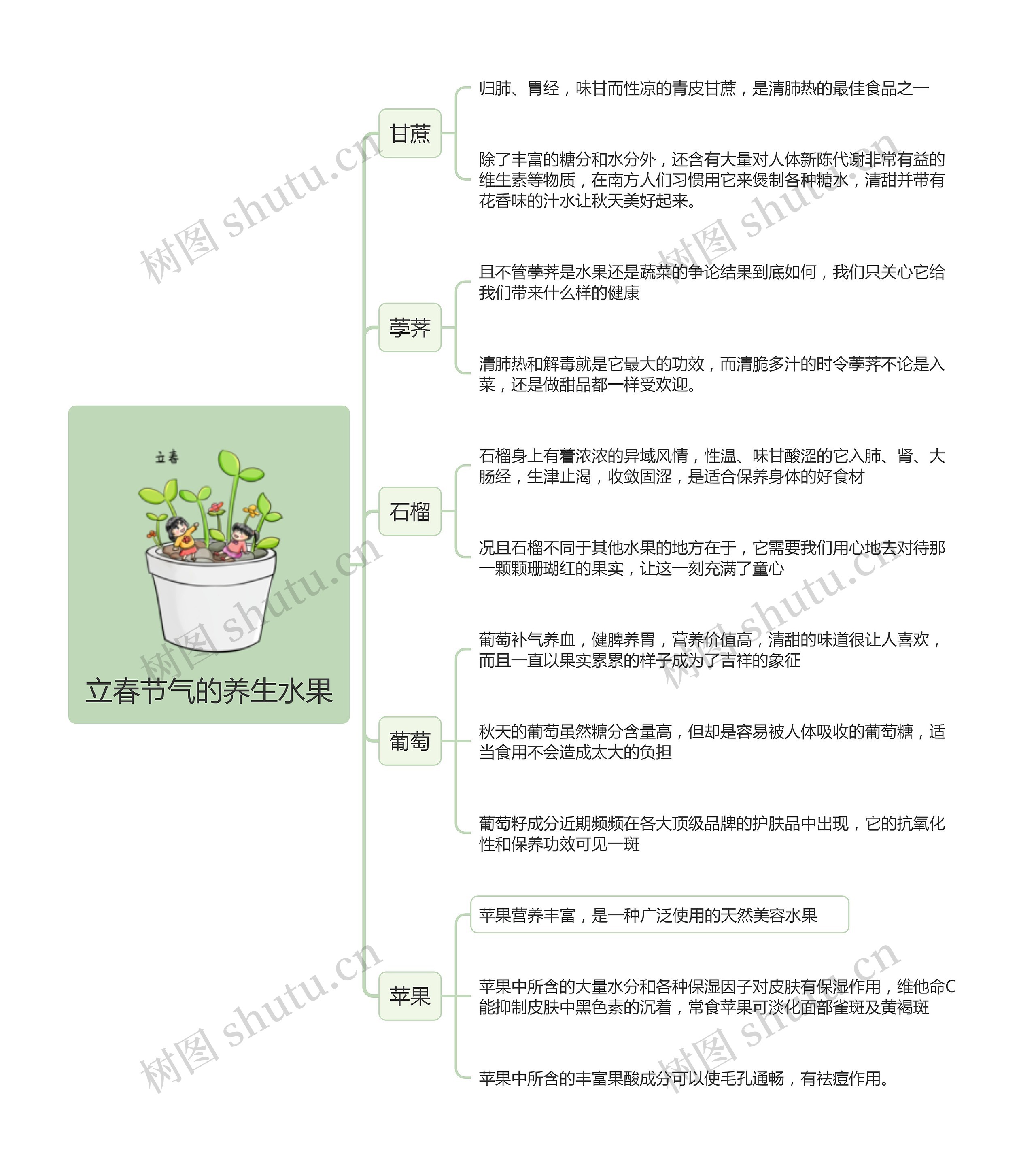 立春节气的养生水果思维导图