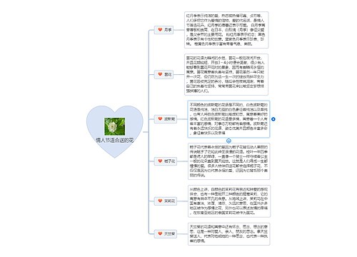 情人节适合送的花