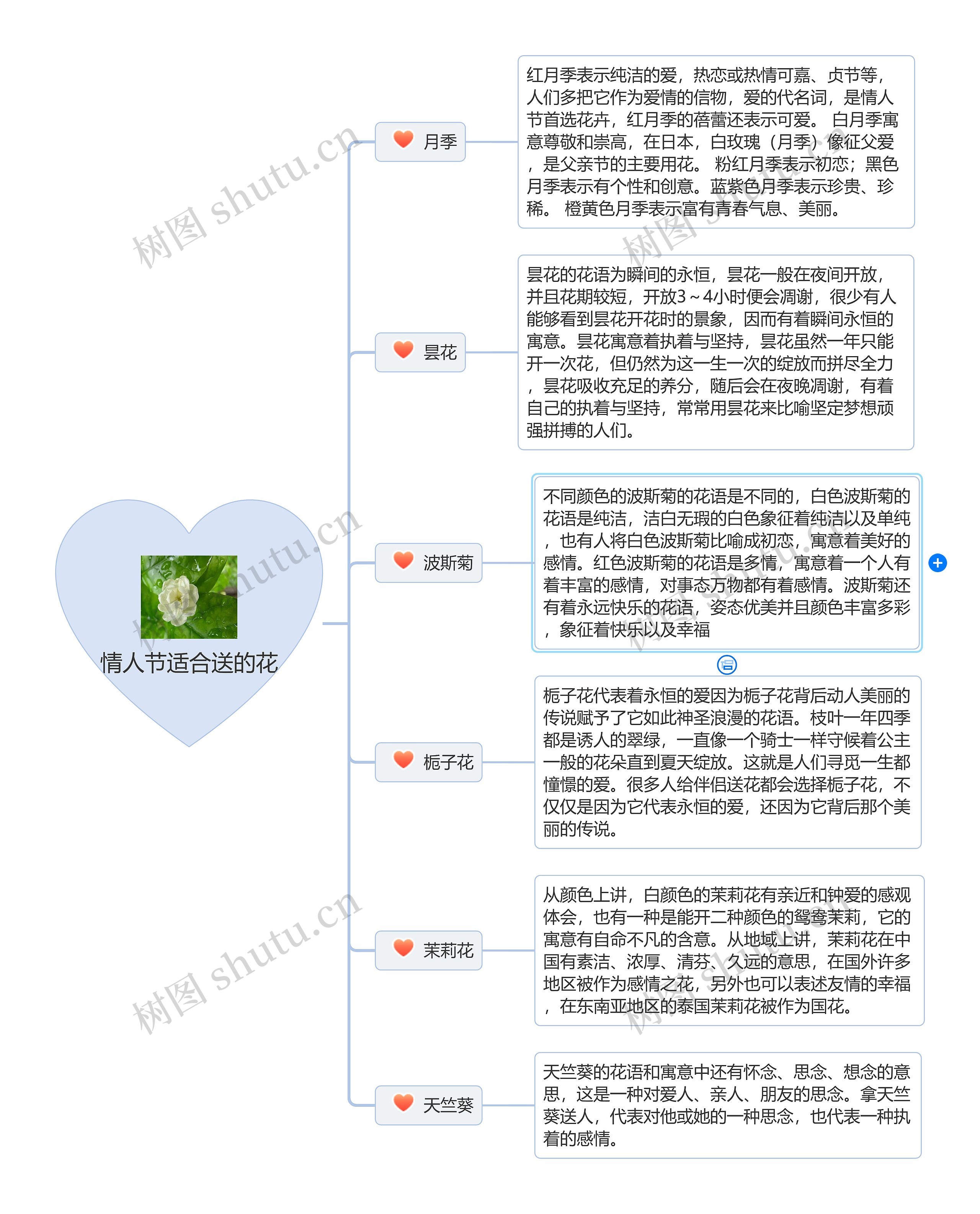 情人节适合送的花